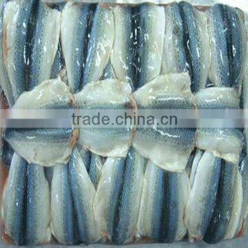 Fresh Pacific Mackerel Flaps Seafood frozen spanish mackerel