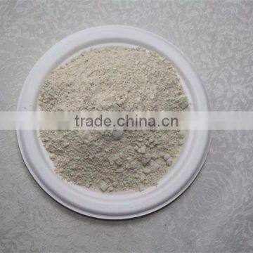 High Purity Natural Dehydrated Garlic Powder