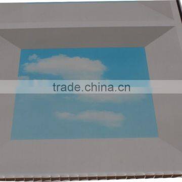 sky design hot foil stamping plastic ceiling panel T014