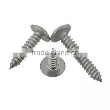Stainless Steel Cross Flat Head Tapping Screw Thumb Head Tapping Screw photo-4