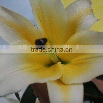 China Fresh Cut Flower Lily Promotional Lili and Rose Flower photo-3