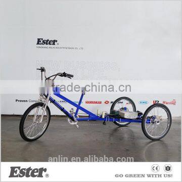 ESTER Electric cargo Flatbed Trike