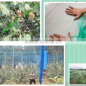 Factory Extruded plastic net for anti bird/bird net