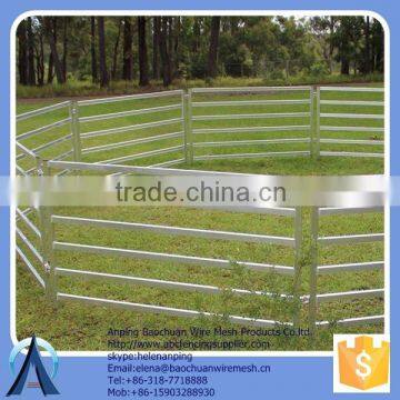 Mateial G.I. steel tube sheep fence / horse fence / cattle fence