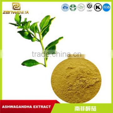 green organic ashwagandha extract powder