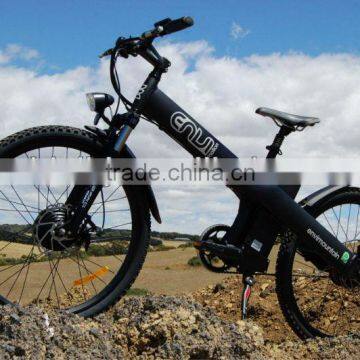 Electric BikeWith Nuvinci 360---Seagull