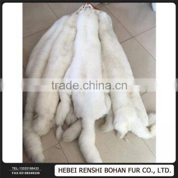 Gold Supplier China The White Fox photo-5