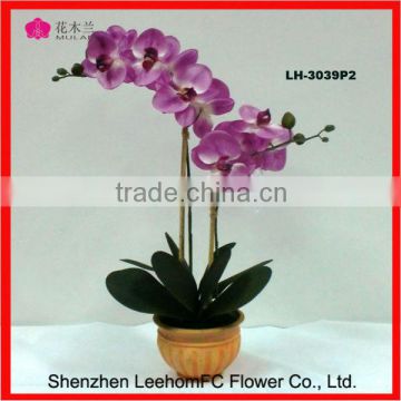 Real Looking Ochids Environmentally Attractive Flowers Artificial