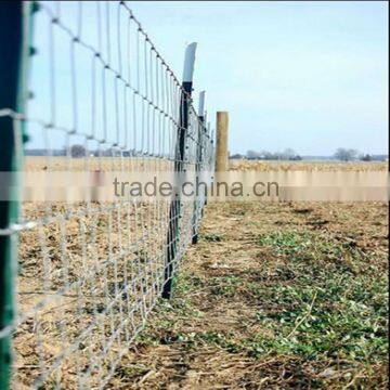 Metal Frame Material Steel Fence Posts T Post photo-5