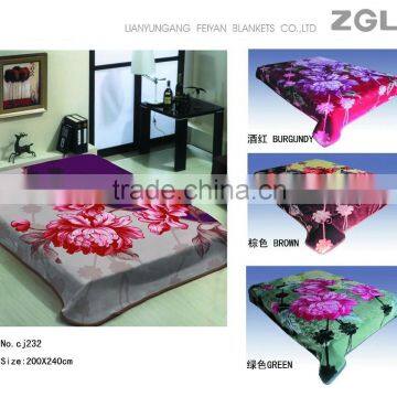 2015 NEW DESIGNS 1ply&2ply Raschel Quality Hot Compressed Embossed Raschel Korean Style Blanket NO.15019 photo-6