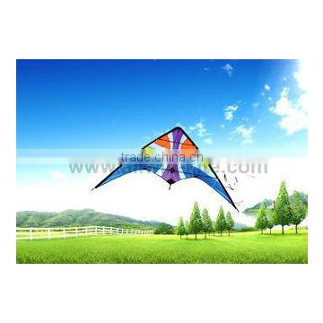 Dual Line Delta Stunt Kites - Curved Edge Kites