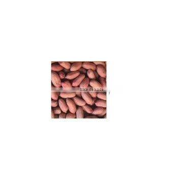 Peanut Kernel