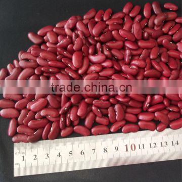 British Red Kidney Beans,Crop 2013,Factory,180-200PCS