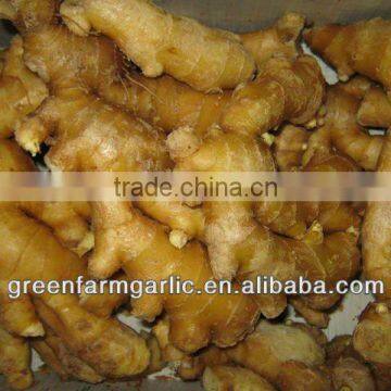 Greenfarm Fresh Ginger