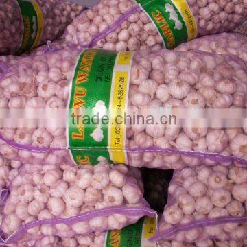 chinese laiwu normal white GARLIC