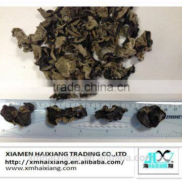 Chinese wood ear-Jew Ear Extract Supplier