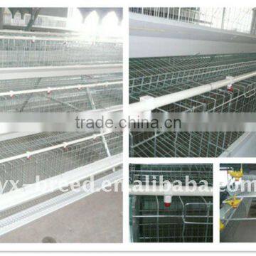 quail cages for sale