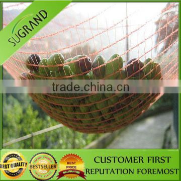 100% virgin HDPE plastic olive collection net