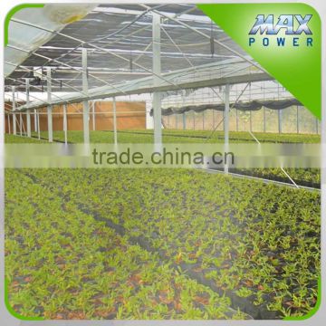 HDPE Film Greenhouse From China