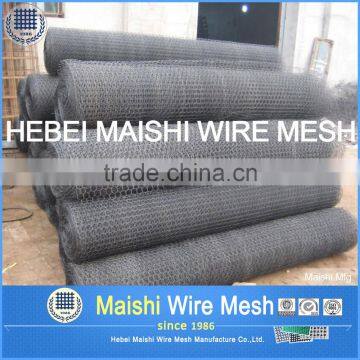 Galvanized Woven Animal Protection Hexagonal Mesh photo-3