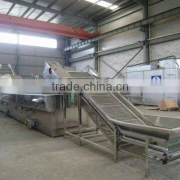Vegetables and Fruits Drying Line Equipment for Dehydrated Mushroom photo-6