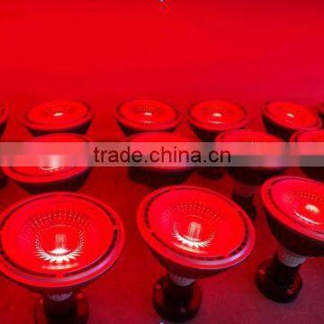 Brand-new 18w Cob Led Grow Light Road Plant Grow Light for Flower Indoor Hydroponics photo-4