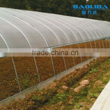 single-span agriculture greenhouse baolida used greenhouse