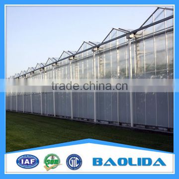 Large Glass Agricultural Greenhouses/Glass Greenhouses Used