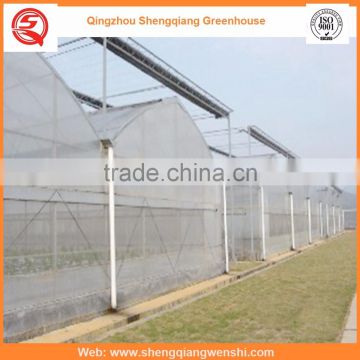 High quality 6.4m multi-span agriculture plastic greenhouse for flowers