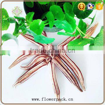 Rural Series of Dried Fruit Hangs Have Seven Options photo-2