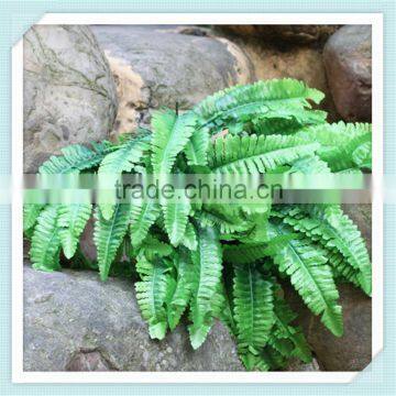 Artificial Fern Plants With Class A Fire Protective photo-4