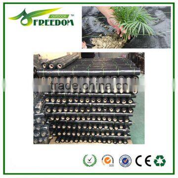 High-quality Plastic Ground Cover for Agriculture photo-5