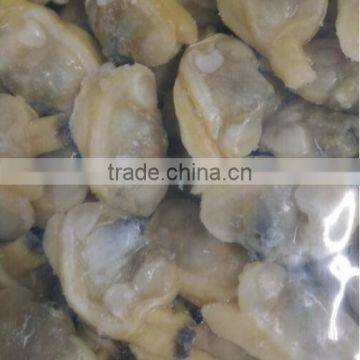 Boiled Frozen Baby Clam Meat