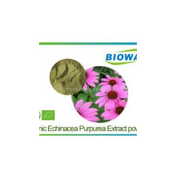 Organic Echinacea Purpurea Extract Powder