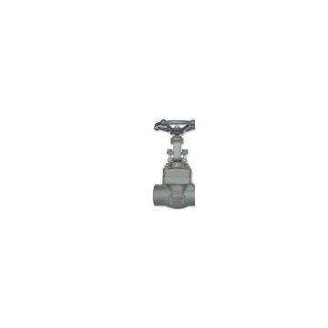 Forged steel thread NPT gate valve(sale@bjvalves.com)