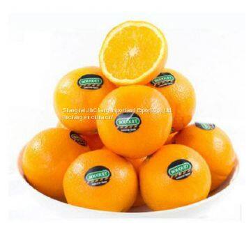 fresh fruits import agent|customes clearance servive