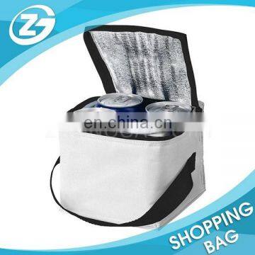 Non Woven Cooler Bag Shoulder Cooler Bag for Beer Can