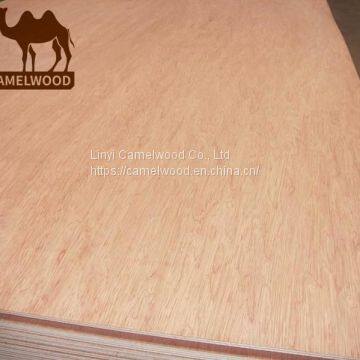 hot sales commercial plywood poplar core furniture plywood