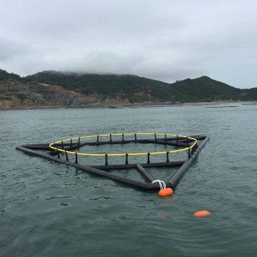 Corrosion Resistance Floating Cage Fish Farming Square And Circle