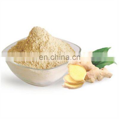 Health Food Supplement Plant Extract Single Herbs & Spices Root Part Solvent Extraction Ginger Powder