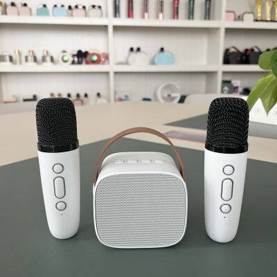 High Quality Mini Portable Karaoke Machine With Two Wireless Microphone Outdoor Party Travel Speaker