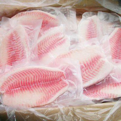 Tilapia photo-3