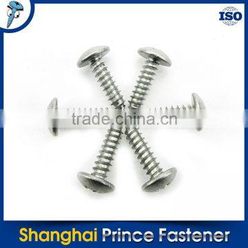 Professional Manufacturer Hot Sale New Truss Head Self Tapping Screw photo-6
