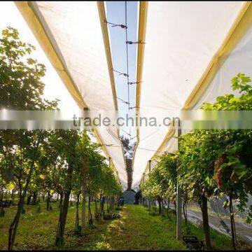 farm orchard plastic rain protection cover