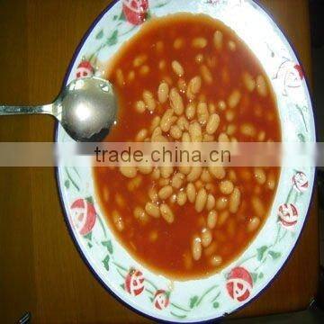 Good Price Canned Broad Beans