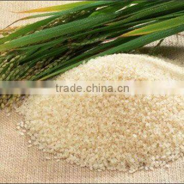 RICE STARCH