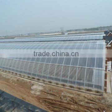 Low cost 15 years warranty double wall plastic polycarbonate agriculture greenhouse for sale