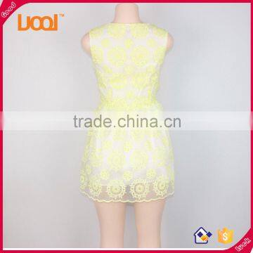 New Fashion Sleeveless Women Fashion Lace Dress Girls' Dress photo-6