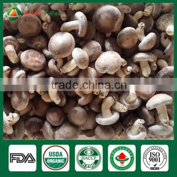 Shiitake Farm,Shiitake Growing Log/Kit,Shiitake Mushroom Log/kit