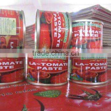 canned tomato factory ,channed chopped tomatoes,tomatoes in cans